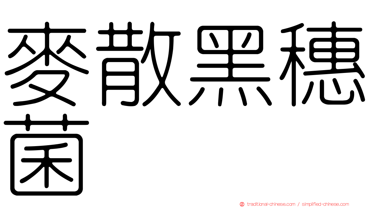 麥散黑穗菌