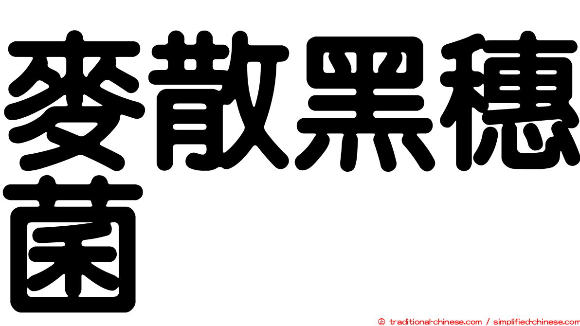 麥散黑穗菌