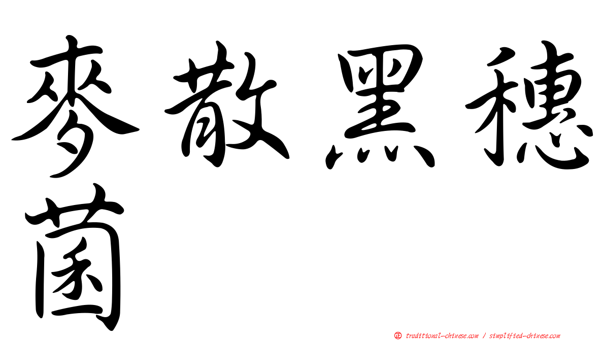 麥散黑穗菌