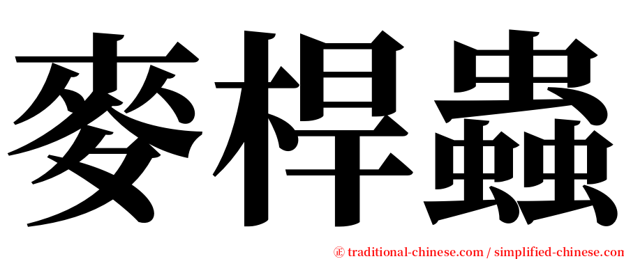 麥桿蟲 serif font