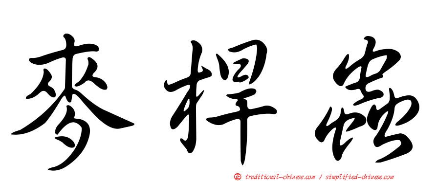 麥桿蟲