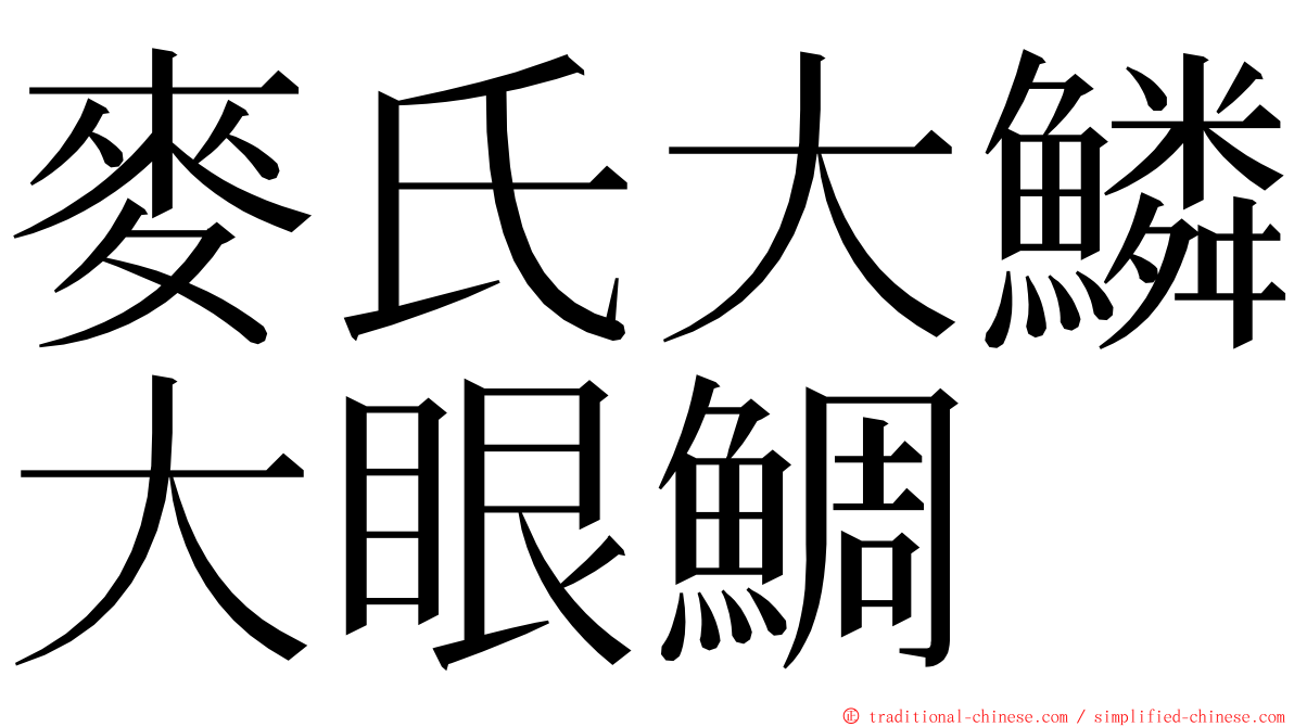 麥氏大鱗大眼鯛 ming font