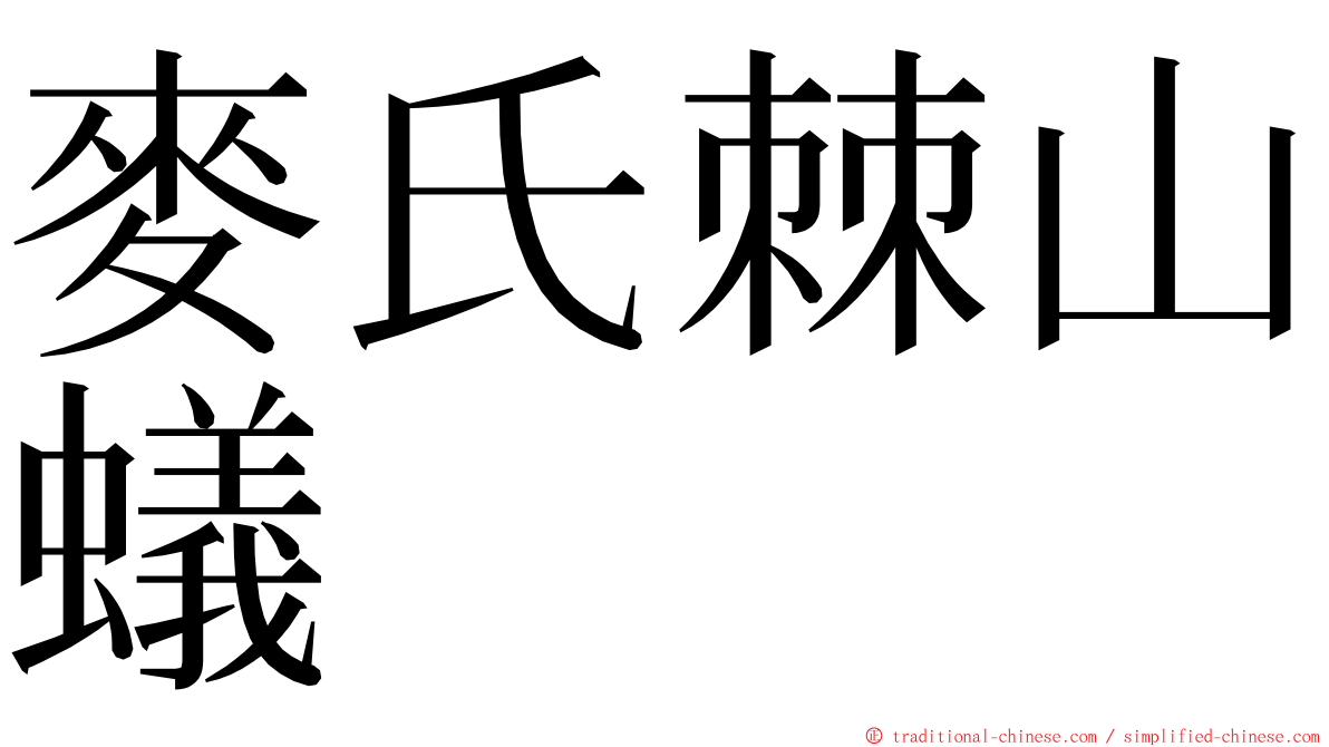 麥氏棘山蟻 ming font