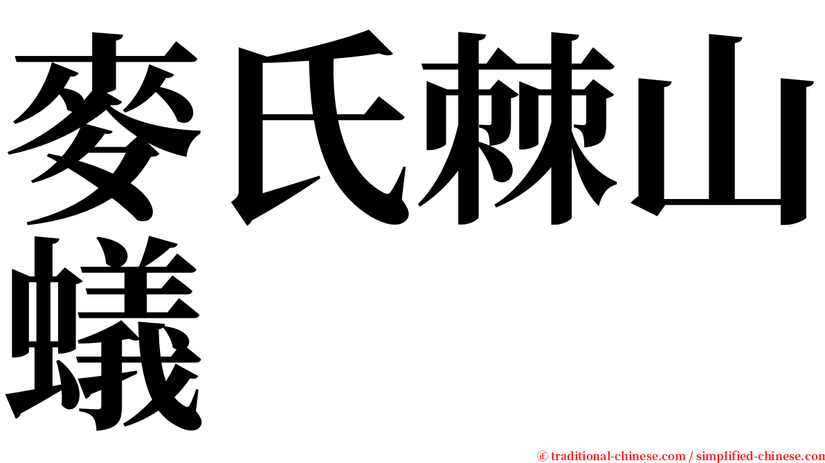麥氏棘山蟻 serif font
