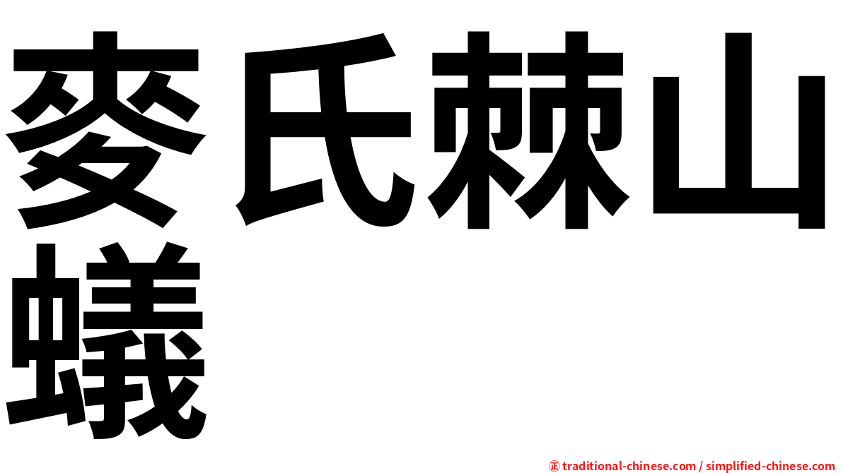 麥氏棘山蟻