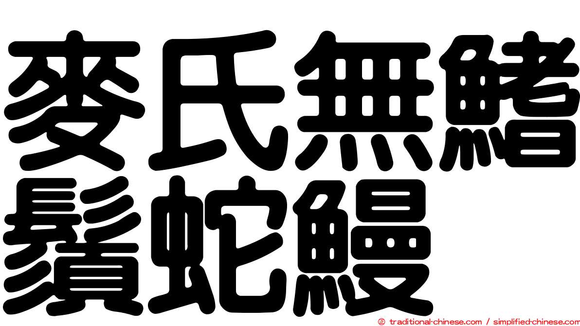 麥氏無鰭鬚蛇鰻