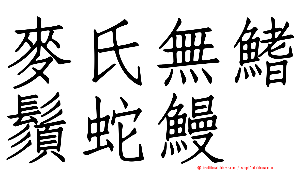 麥氏無鰭鬚蛇鰻