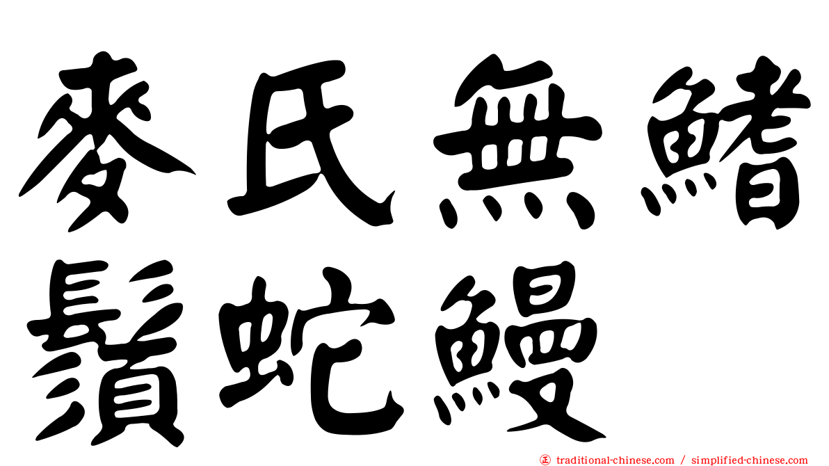 麥氏無鰭鬚蛇鰻