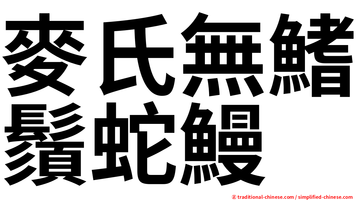麥氏無鰭鬚蛇鰻