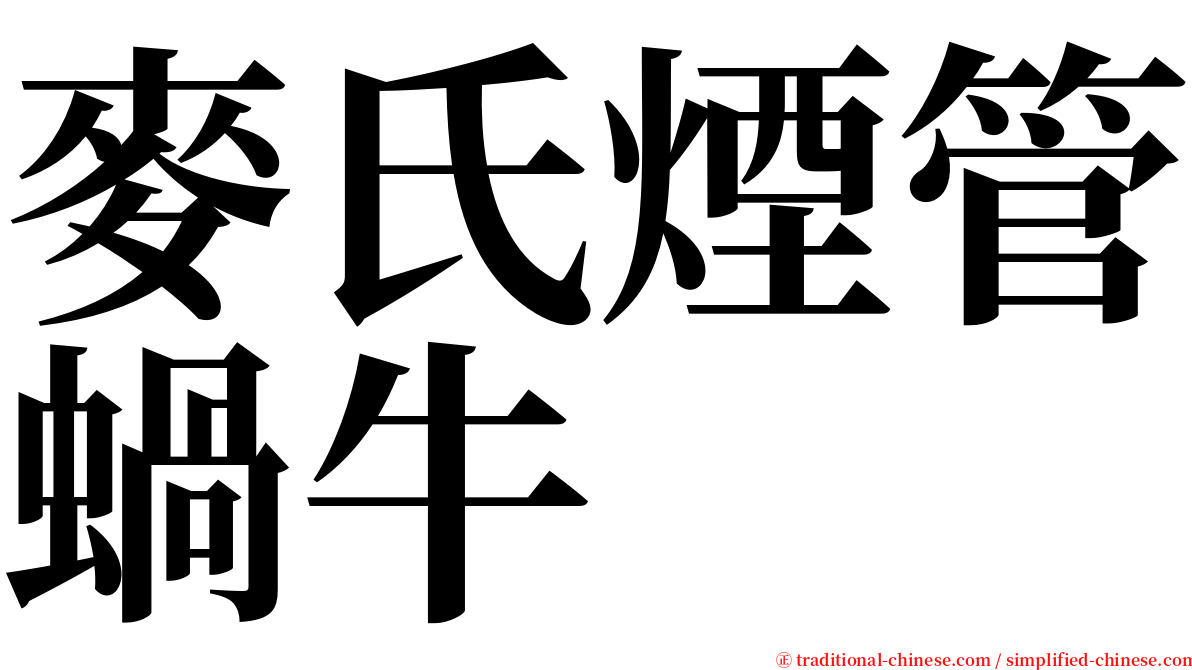 麥氏煙管蝸牛 serif font