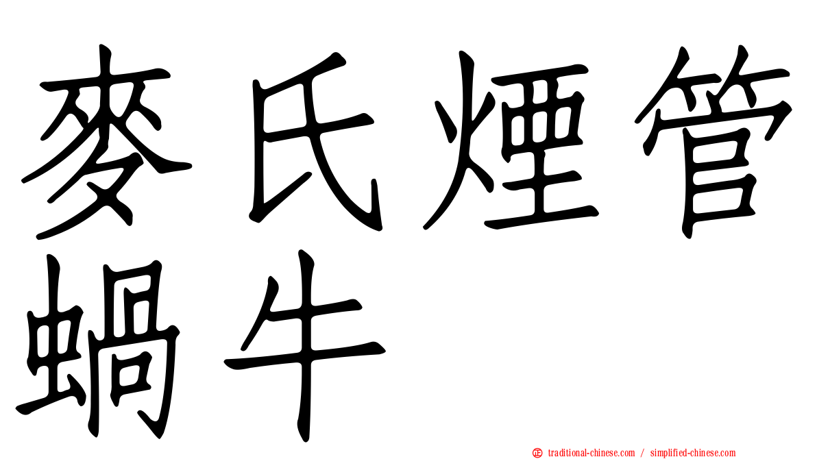 麥氏煙管蝸牛