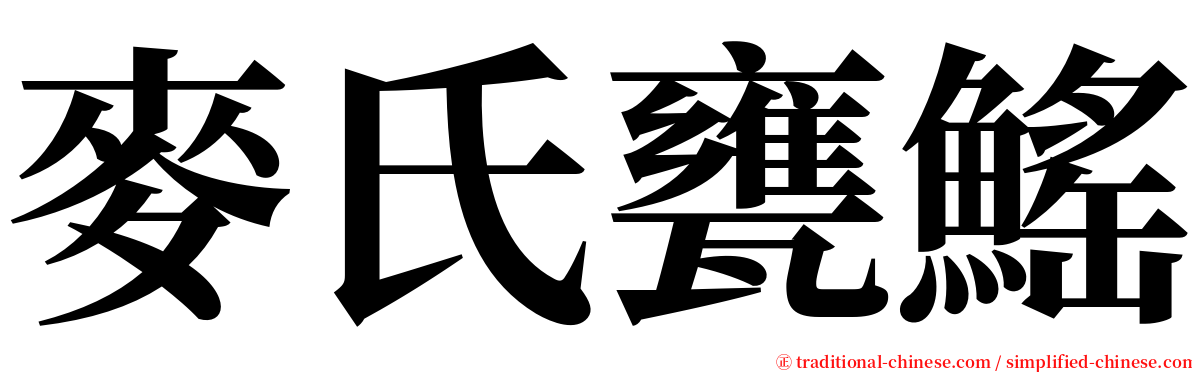 麥氏甕鰩 serif font