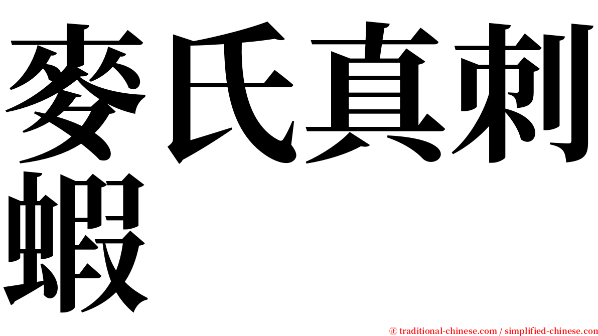 麥氏真刺蝦 serif font