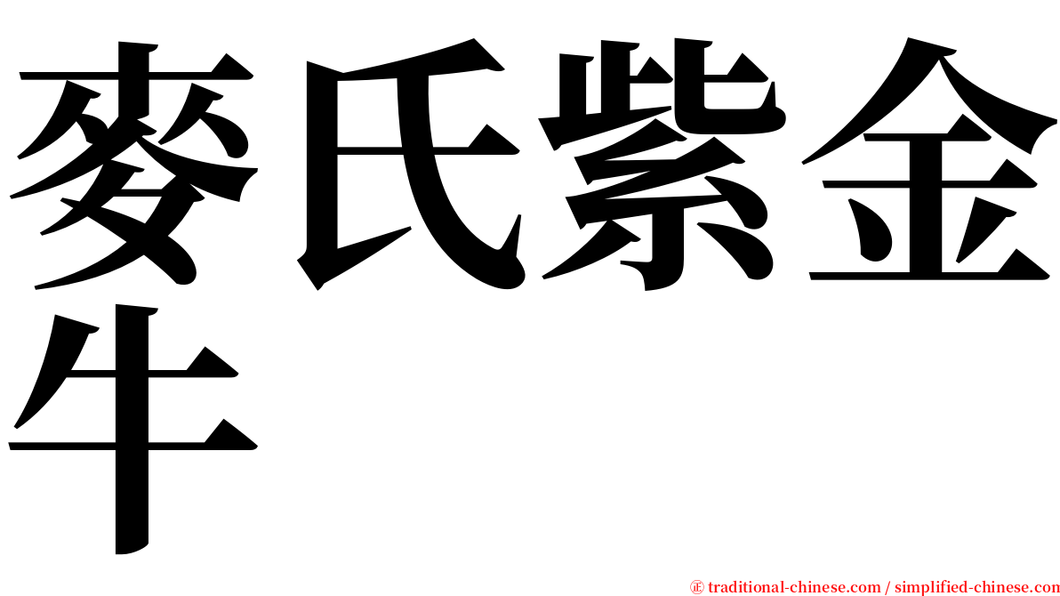 麥氏紫金牛 serif font
