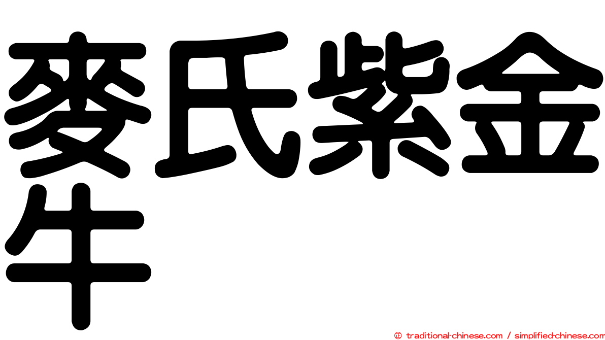 麥氏紫金牛