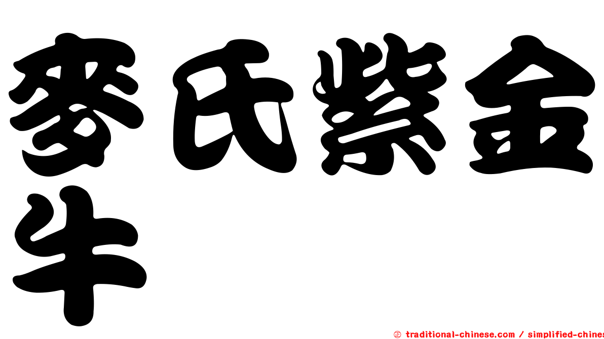 麥氏紫金牛