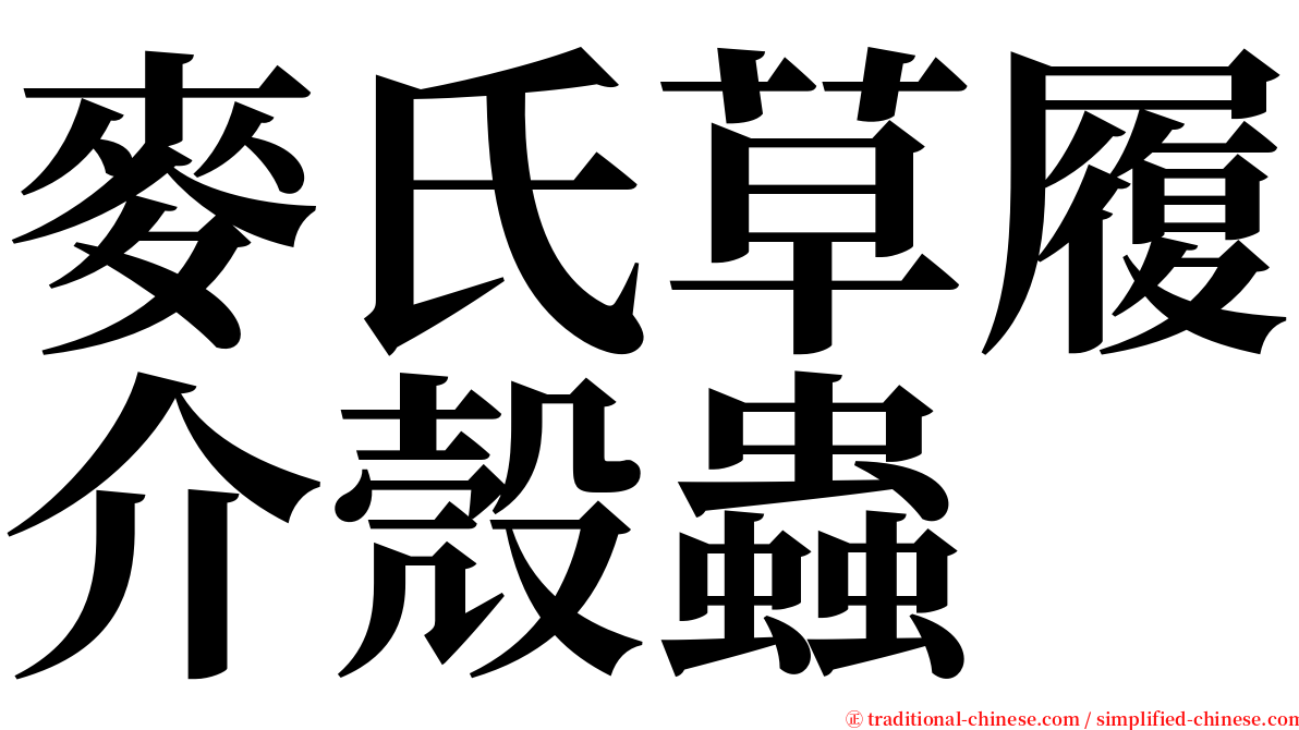 麥氏草履介殼蟲 serif font