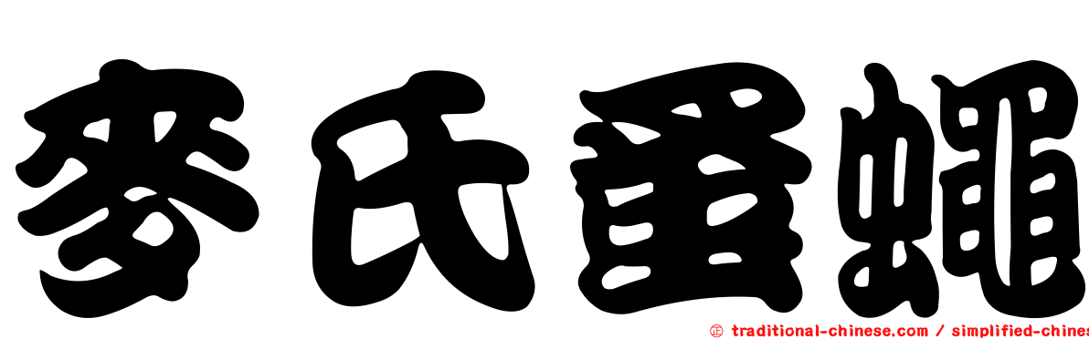 麥氏蚤蠅