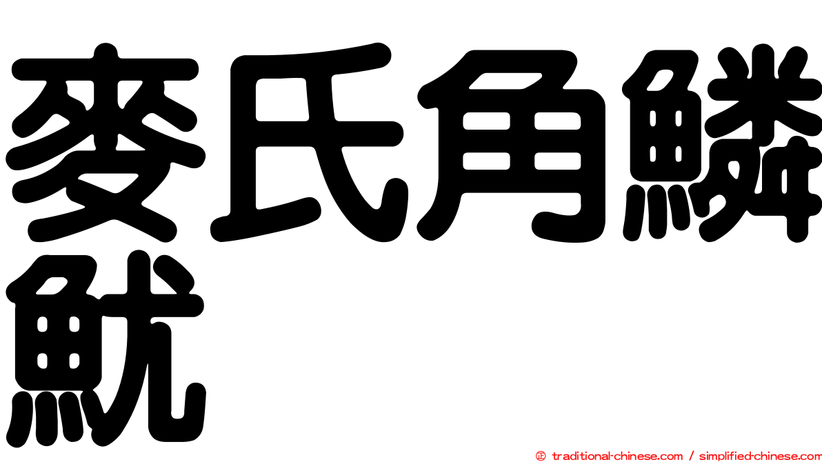 麥氏角鱗魷