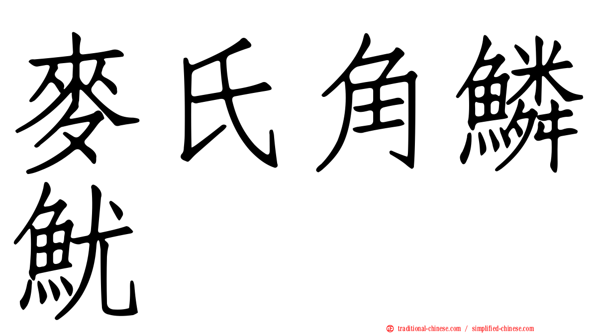麥氏角鱗魷