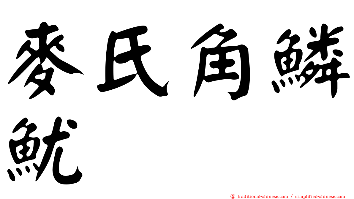 麥氏角鱗魷