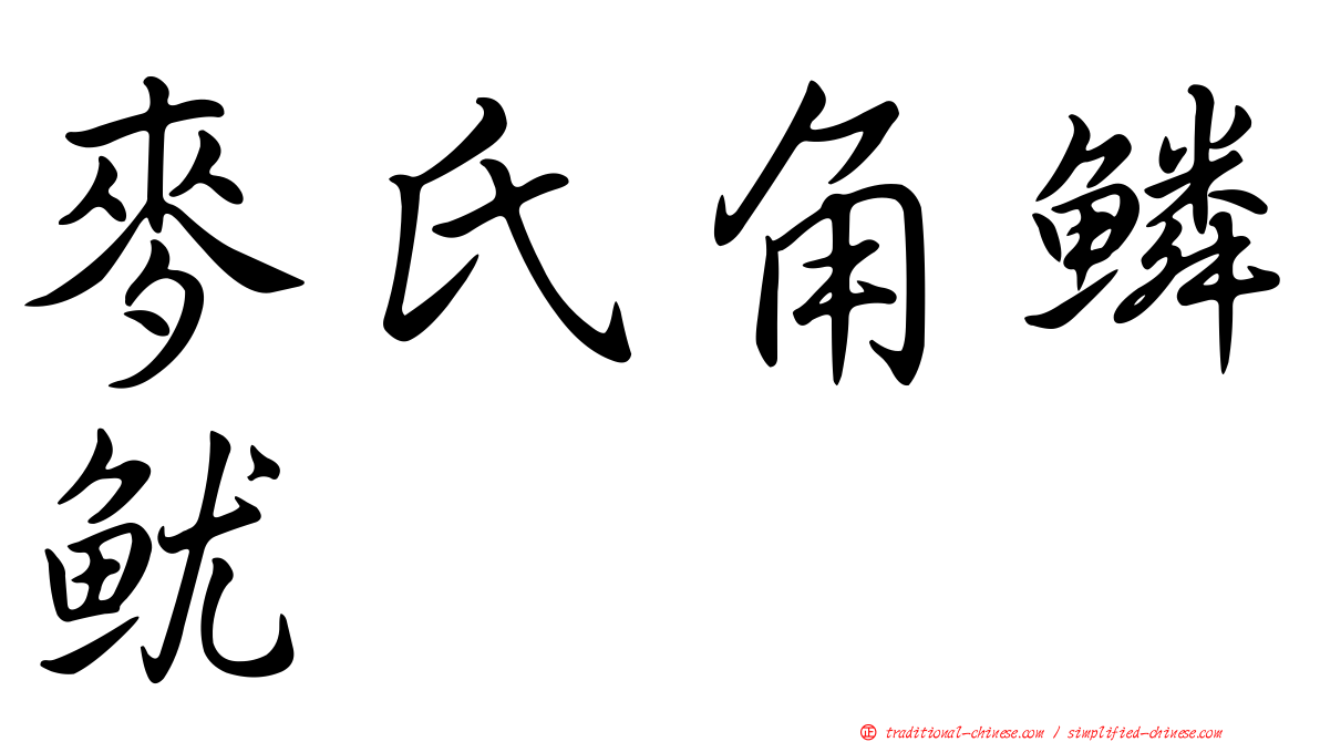 麥氏角鱗魷