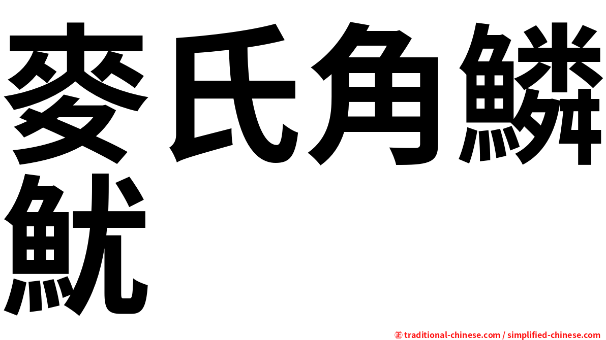 麥氏角鱗魷