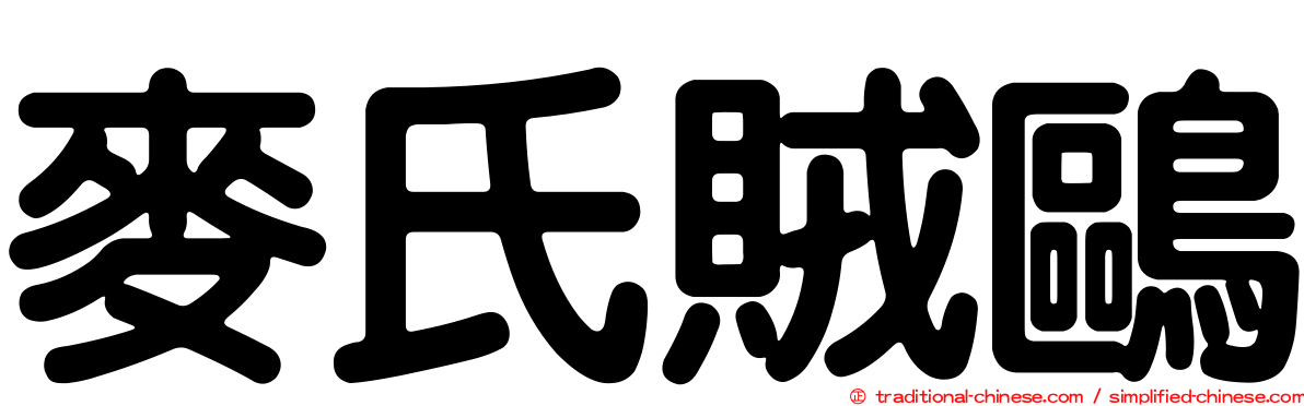麥氏賊鷗