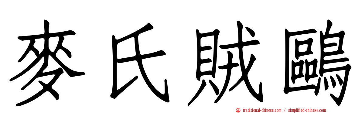 麥氏賊鷗