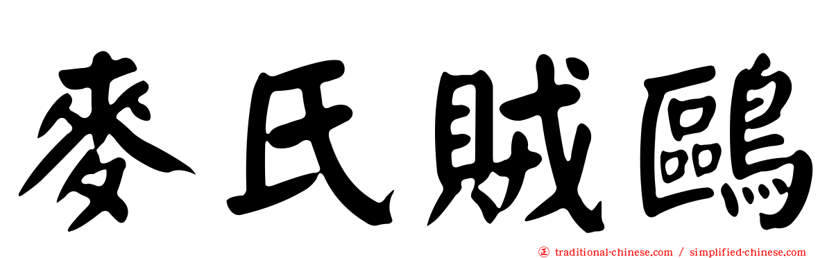 麥氏賊鷗