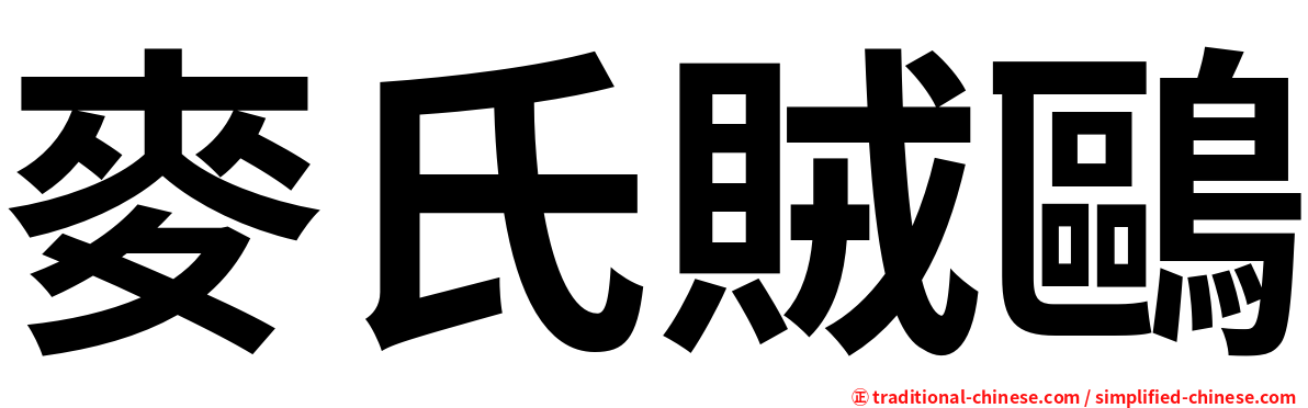麥氏賊鷗