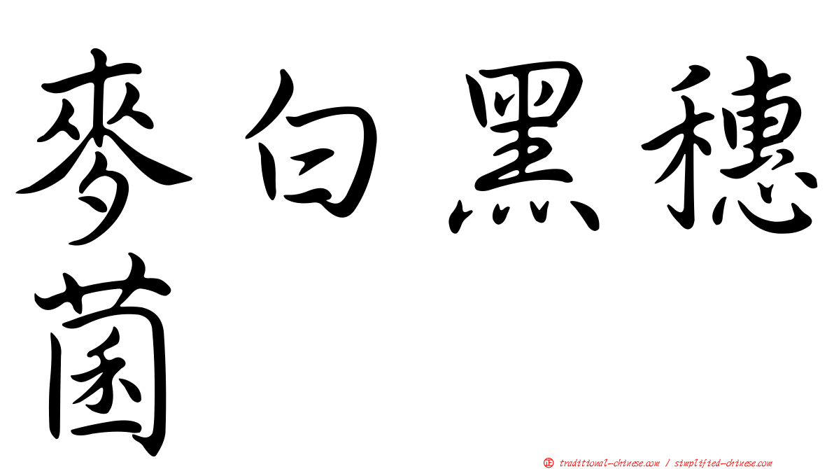 麥白黑穗菌