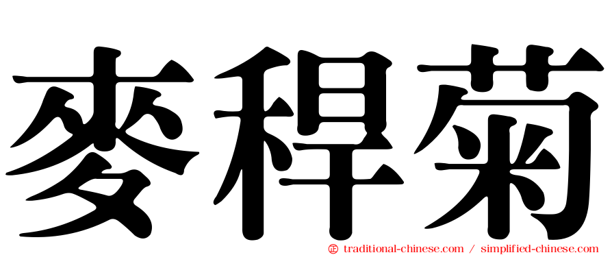 麥稈菊