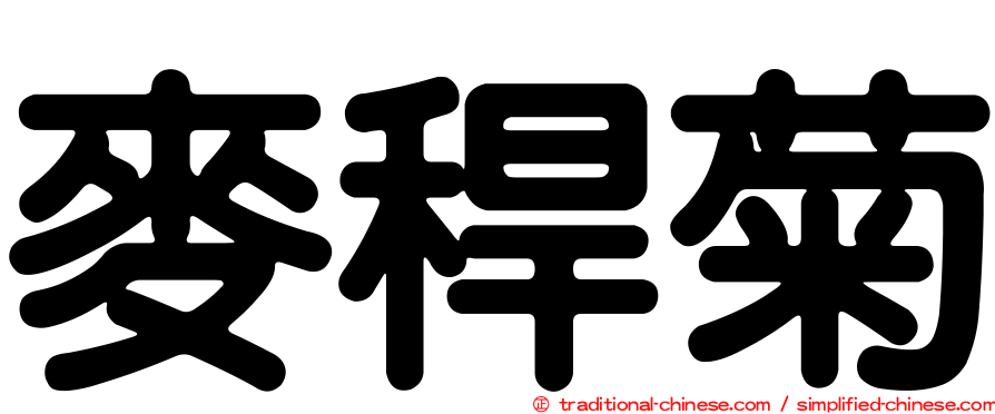 麥稈菊