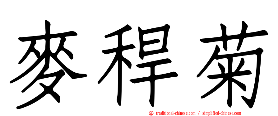麥稈菊