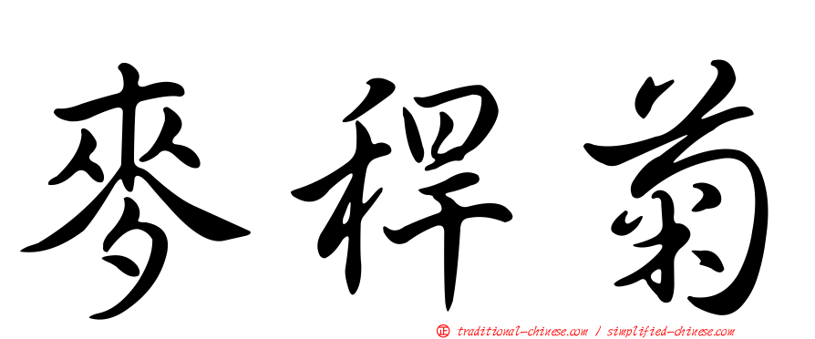 麥稈菊