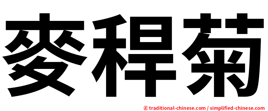 麥稈菊