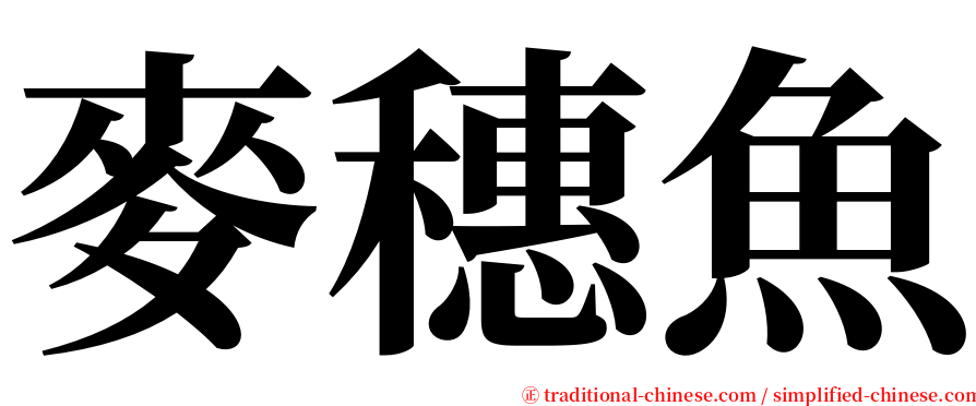 麥穗魚 serif font