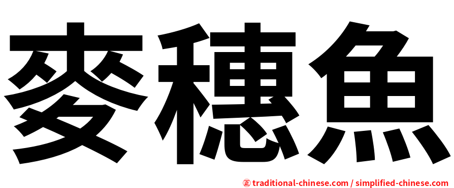 麥穗魚