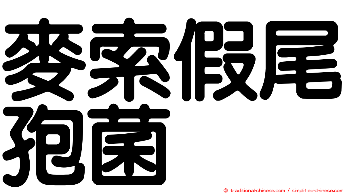 麥索假尾孢菌