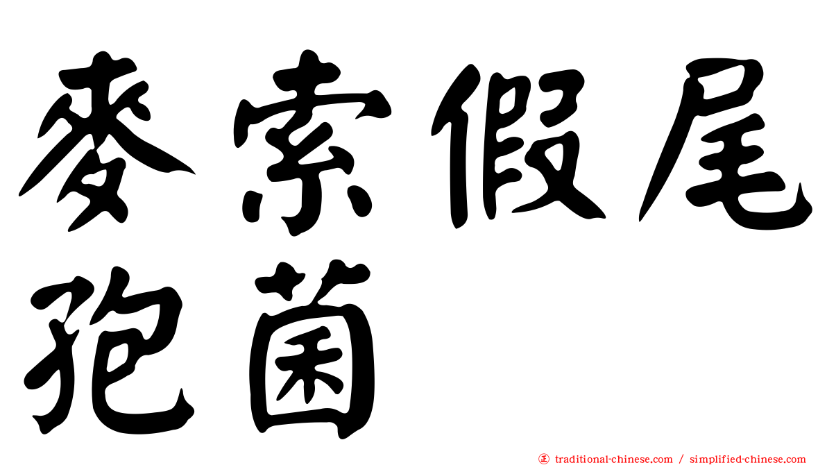 麥索假尾孢菌