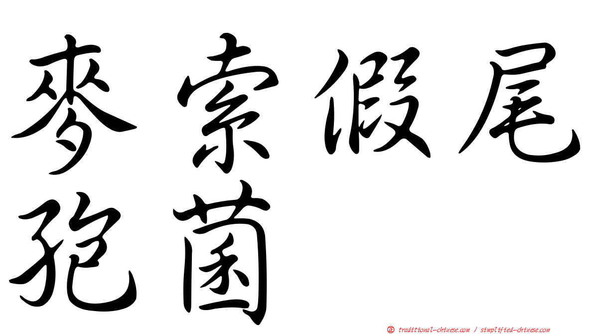 麥索假尾孢菌