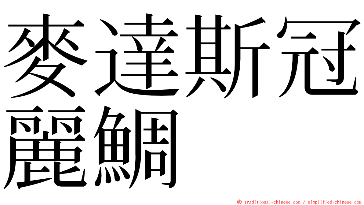 麥達斯冠麗鯛 ming font