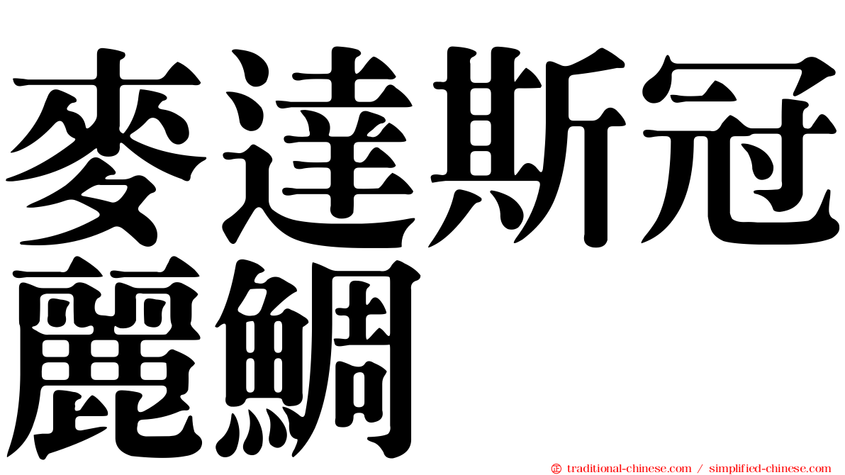 麥達斯冠麗鯛