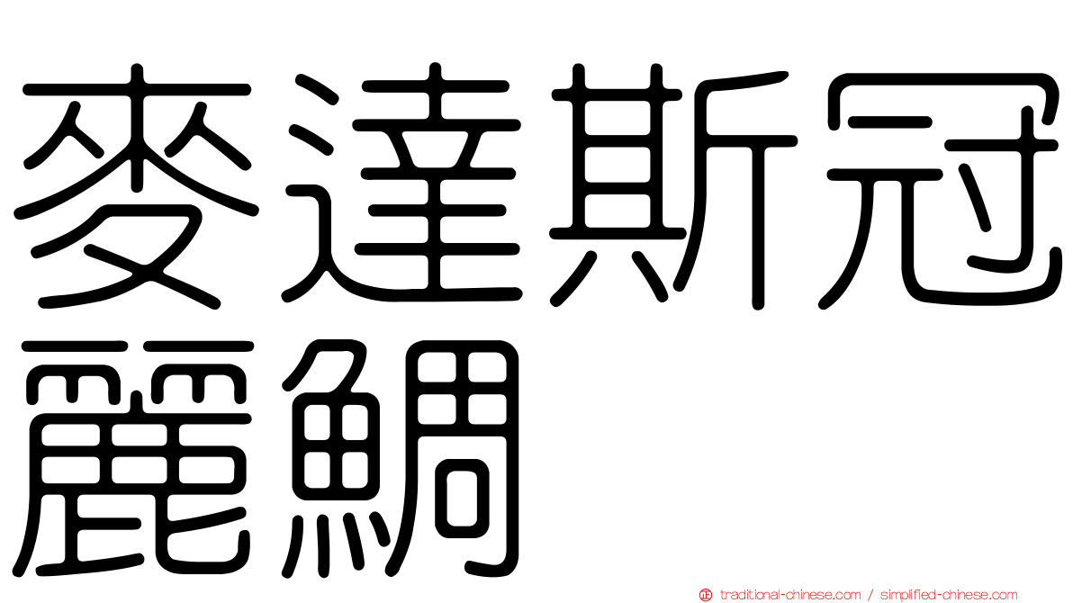 麥達斯冠麗鯛