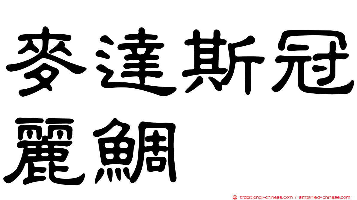 麥達斯冠麗鯛