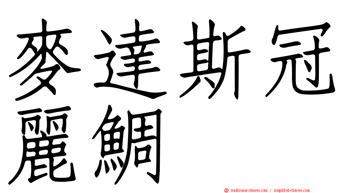 麥達斯冠麗鯛