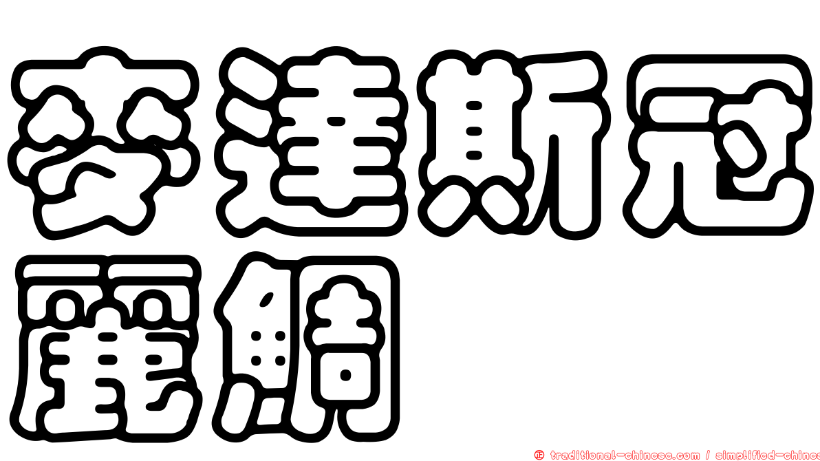 麥達斯冠麗鯛