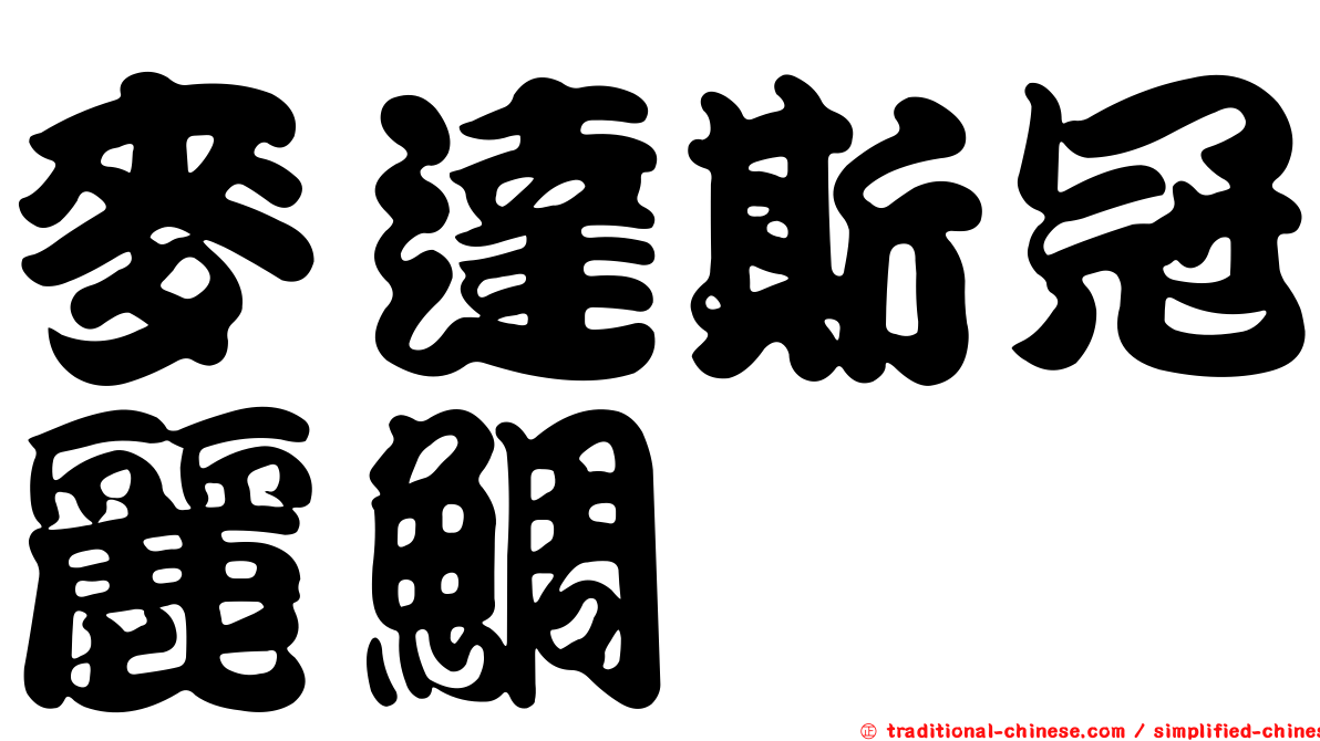 麥達斯冠麗鯛