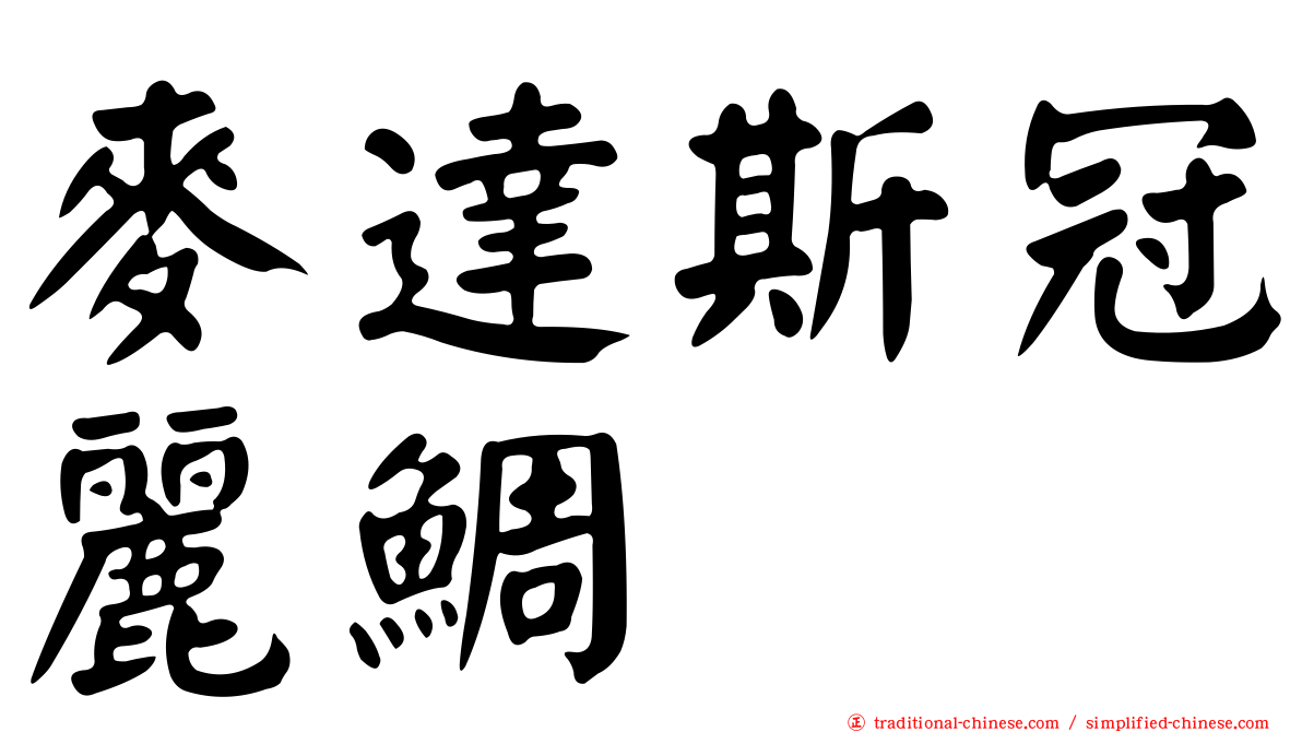 麥達斯冠麗鯛